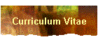 Curriculum Vitae