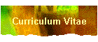 Curriculum Vitae
